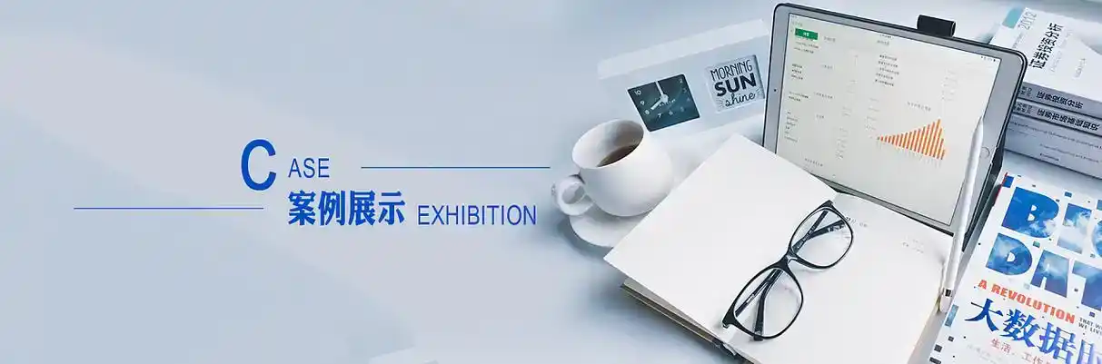 武定县软件开发